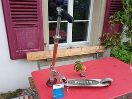 Micro Scooter rot