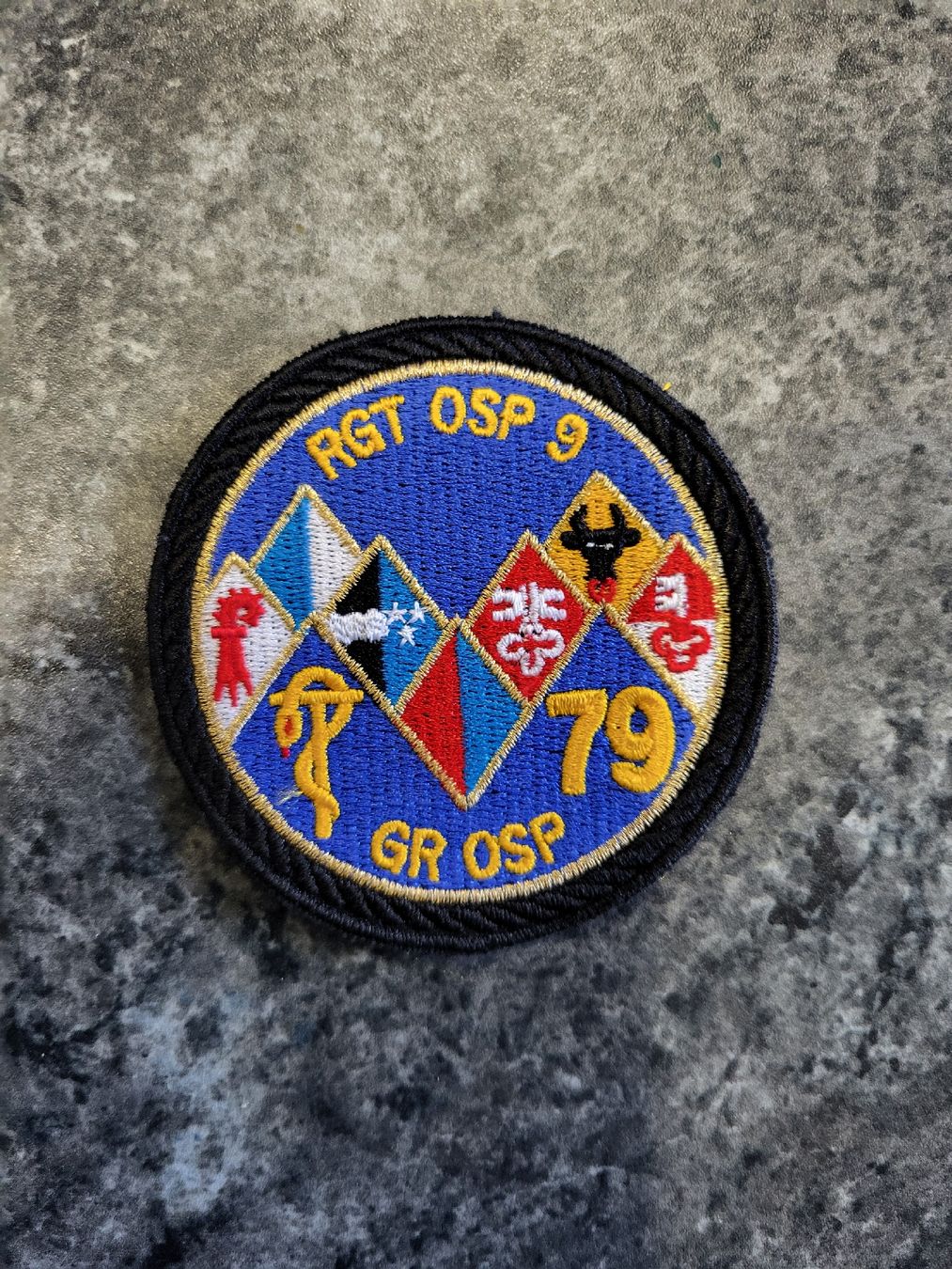 Schweizer Armee Placchette & Badge: Badge  RGT OSP 9 GR OSP 79 – Nuovo (secondo la descrizione) da Grono venduto da Spotty77