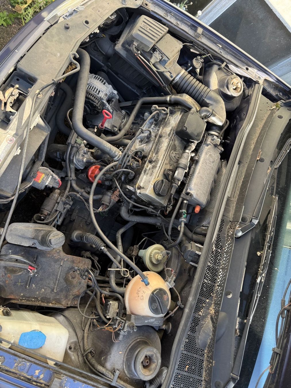VW Automobili: VW Golf III Cabrio – Usato da Teufen AR venduto da acer08 5