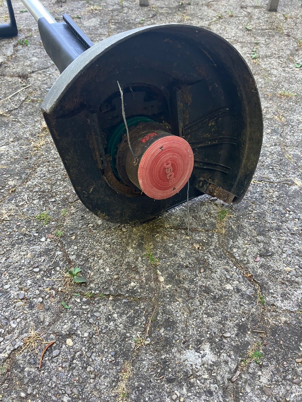 Bosch Tagliaerba: Bosch Rasentrimmer 230v – Usato da Zürich venduto da Goll 2