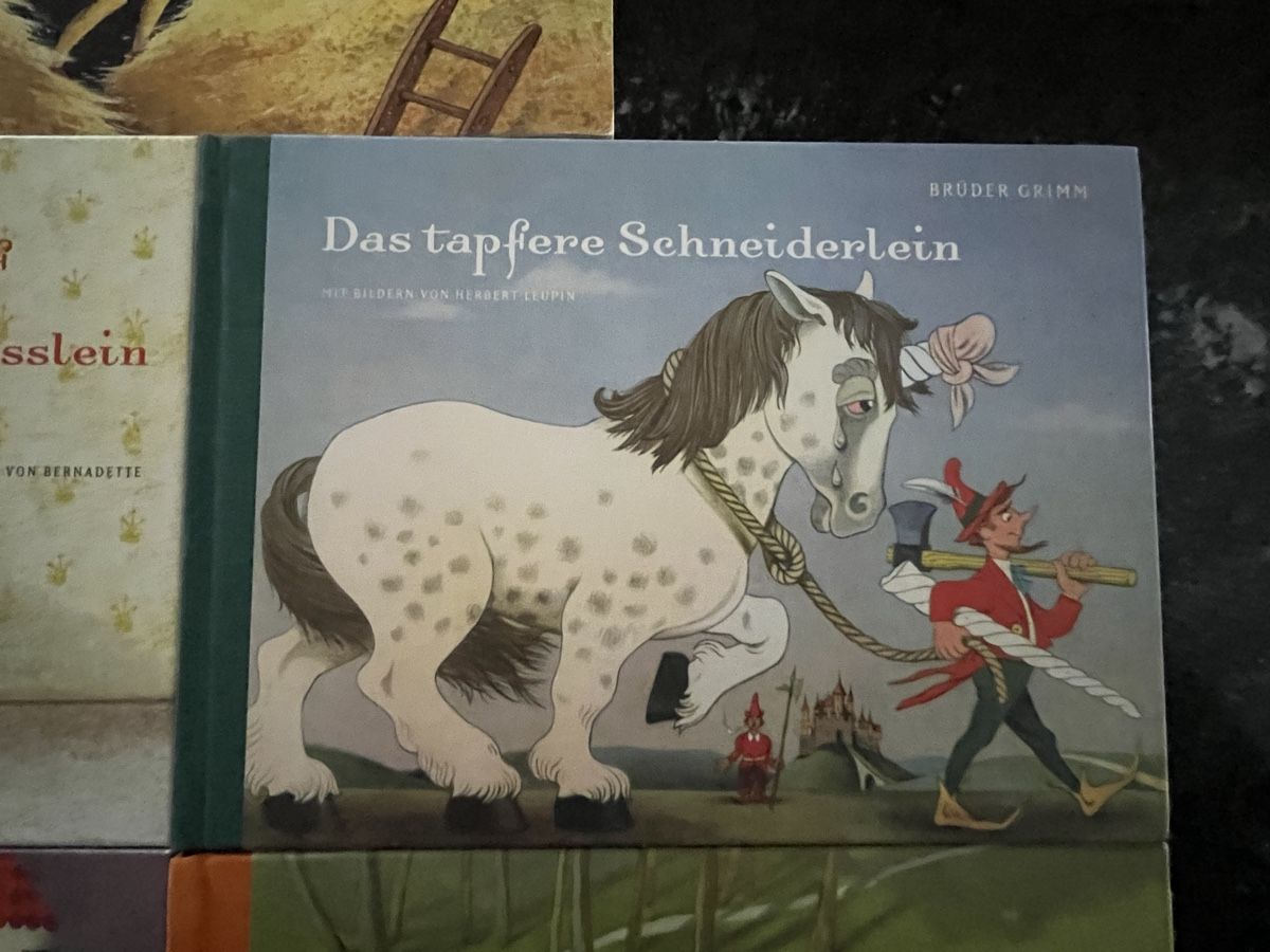 Libri: 5 klassische Märchenbüchlein – Nuovo (secondo la descrizione) da winterthur venduto da melifera 3