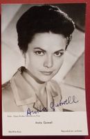 Anita Gutwell 1930-2022 Autogramm signiert Foto 9x14cm