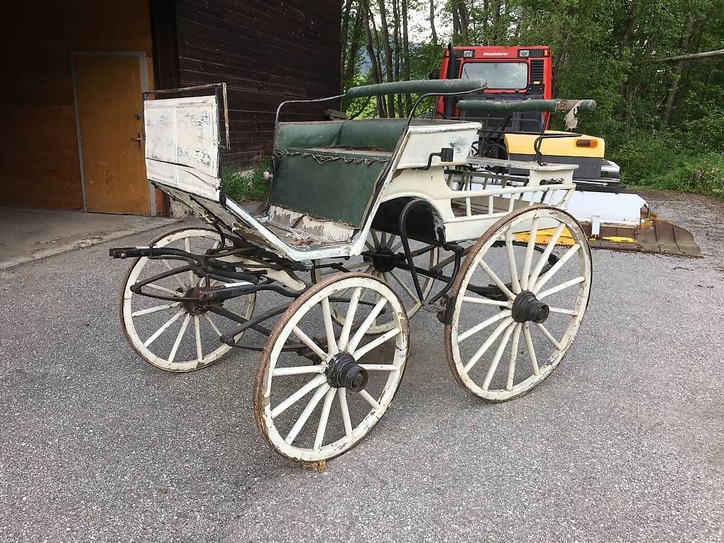 Carrozze: Historische Pferdekutsche – Usato da Niederwald venduto da Melissa911