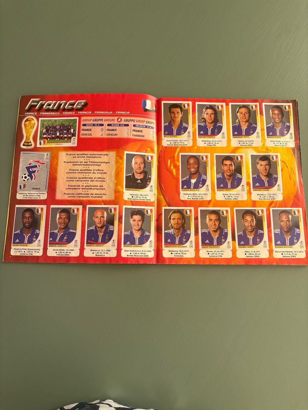 Panini Album: Panini-Heft WM 2002 / Korea Japan – Usato da Zürich venduto da jimmy_12 3