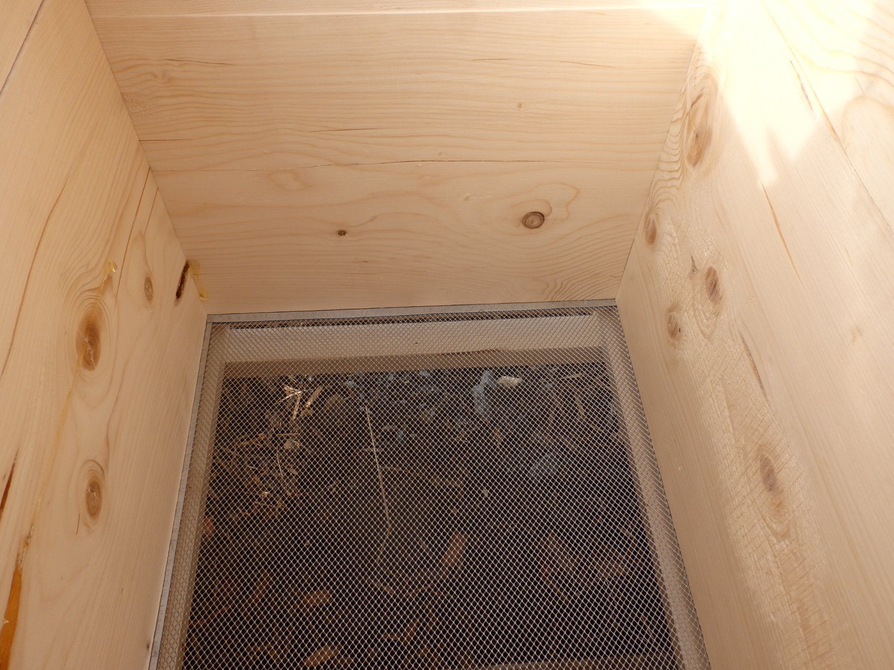 Alveari: Bienenkasten Dadant – Nuovo e nell'imballaggio originale da Heiligenschwendi venduto da kiplimo 8