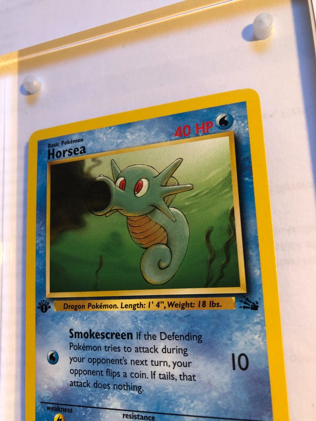 Carte collezionabili: Horsea 1st Fossil - MINT - ab 1.- – Usato da Giubiasco venduto da dan_pr8b 3