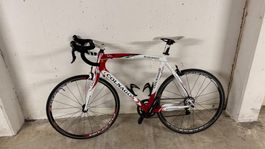 Rennvelo der Marke Colnago