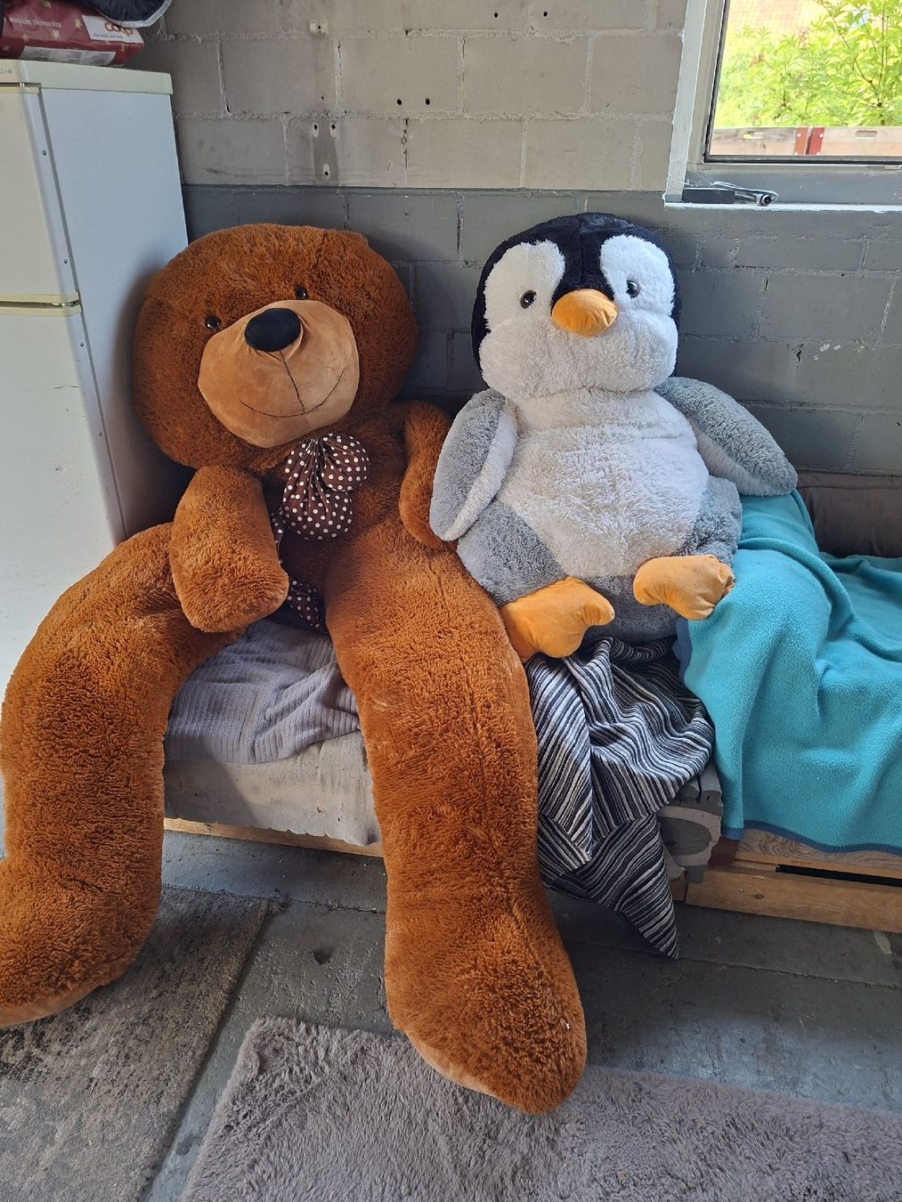 Spielzeuge: Plüschtier Teddybär und Pinguin Set – Gebraucht aus Oberhasli von Cortina 1