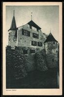 AK Hallwil, Aussenansicht des Schlosses