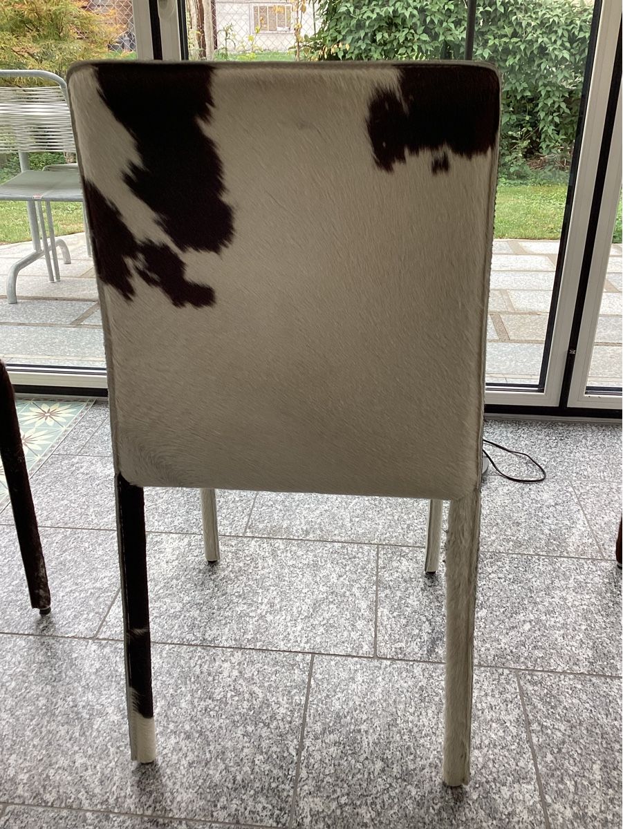 Sedie: Stühle (6 Stk.) – Usato da Dietikon venduto da Gus7 8
