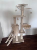 Katzenbaum