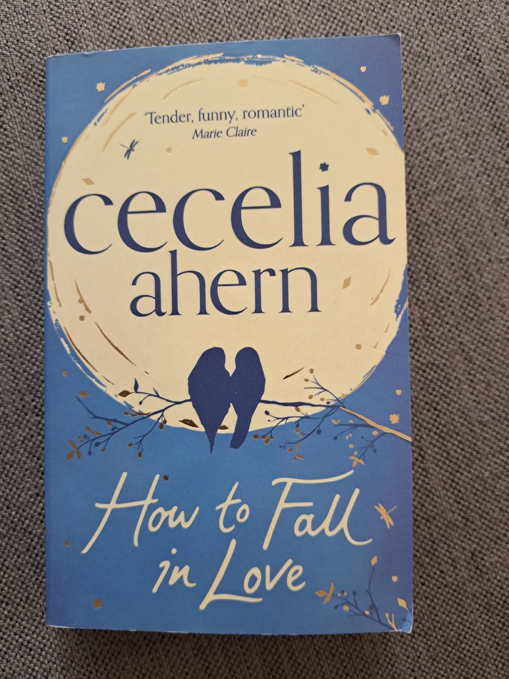 Libri: Cecelia Ahern How to Fall in Love Roman – Usato da Jona venduto da cel_s8jx