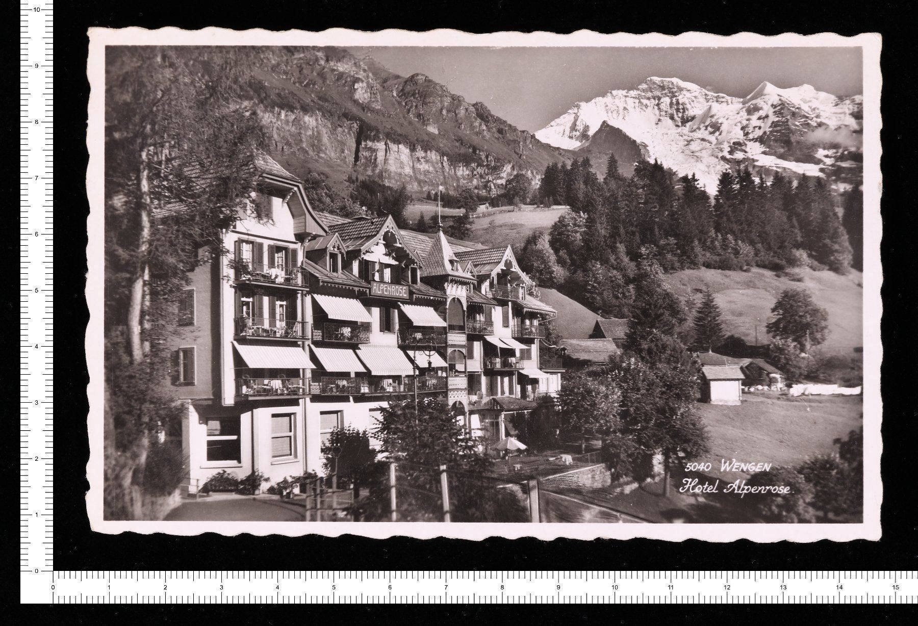 Ansichtskarten: Wengen - Hotel Alpenrose – Gebraucht aus Riehen von Tignanello1