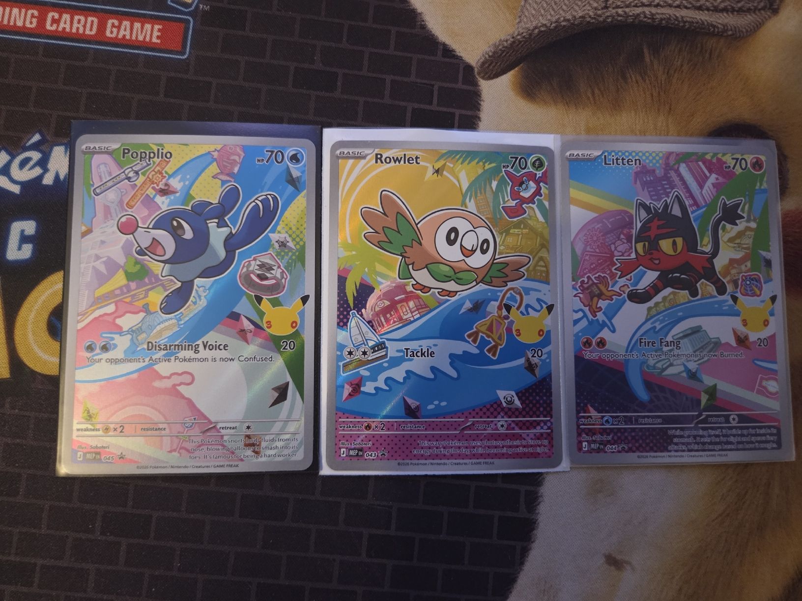 Pokémon Carte collezionabili: Pokemon First Partner Illustration Promos  – Nuovo (secondo la descrizione) da Dübendorf venduto da pelettino18