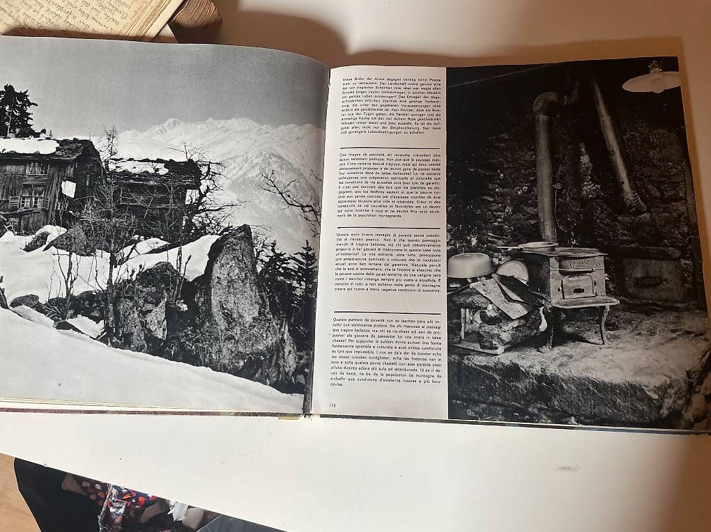 Libri: Buch alpinum forum – Usato da Weissenburg venduto da usem_Oberland 2