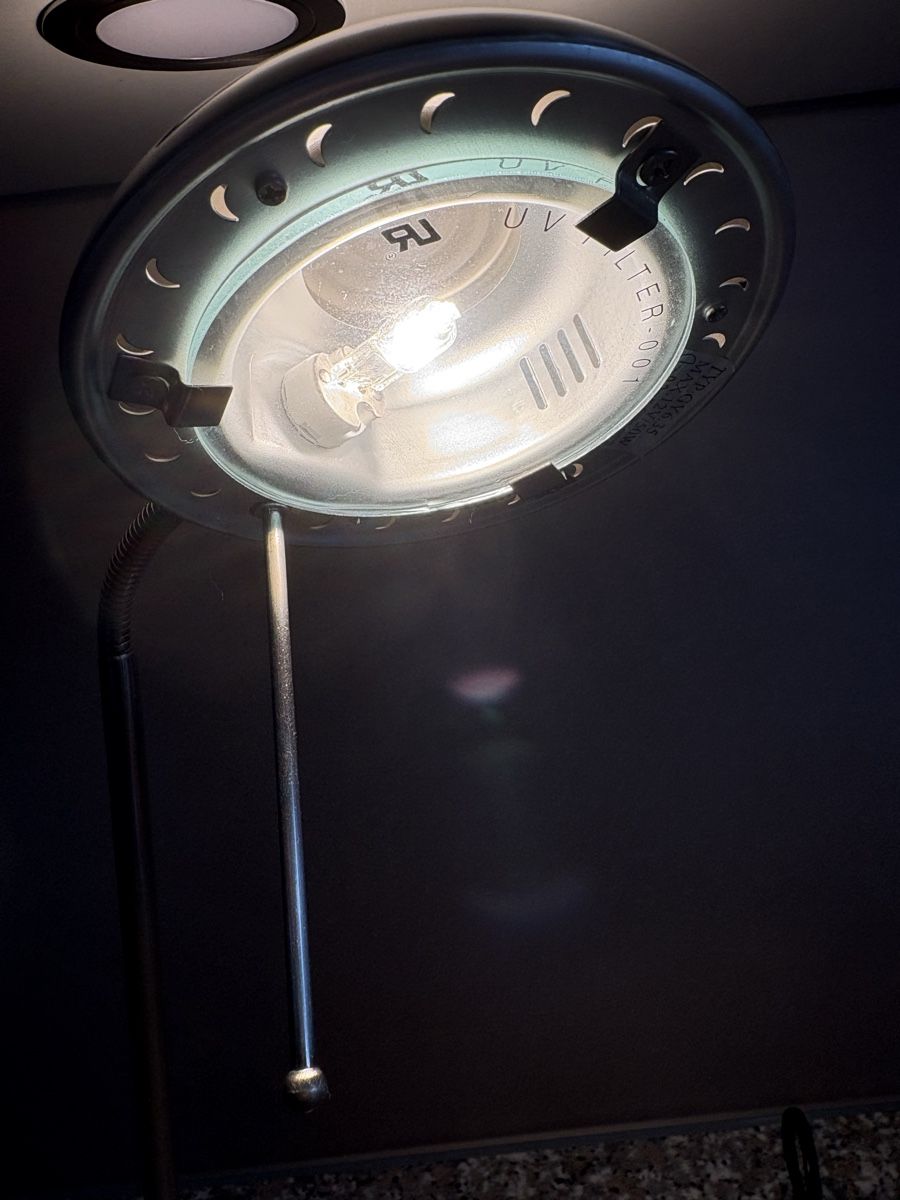 Lampade: Tischlampe stufenlos dimmbar – Usato da Attiswil venduto da Samantil 3