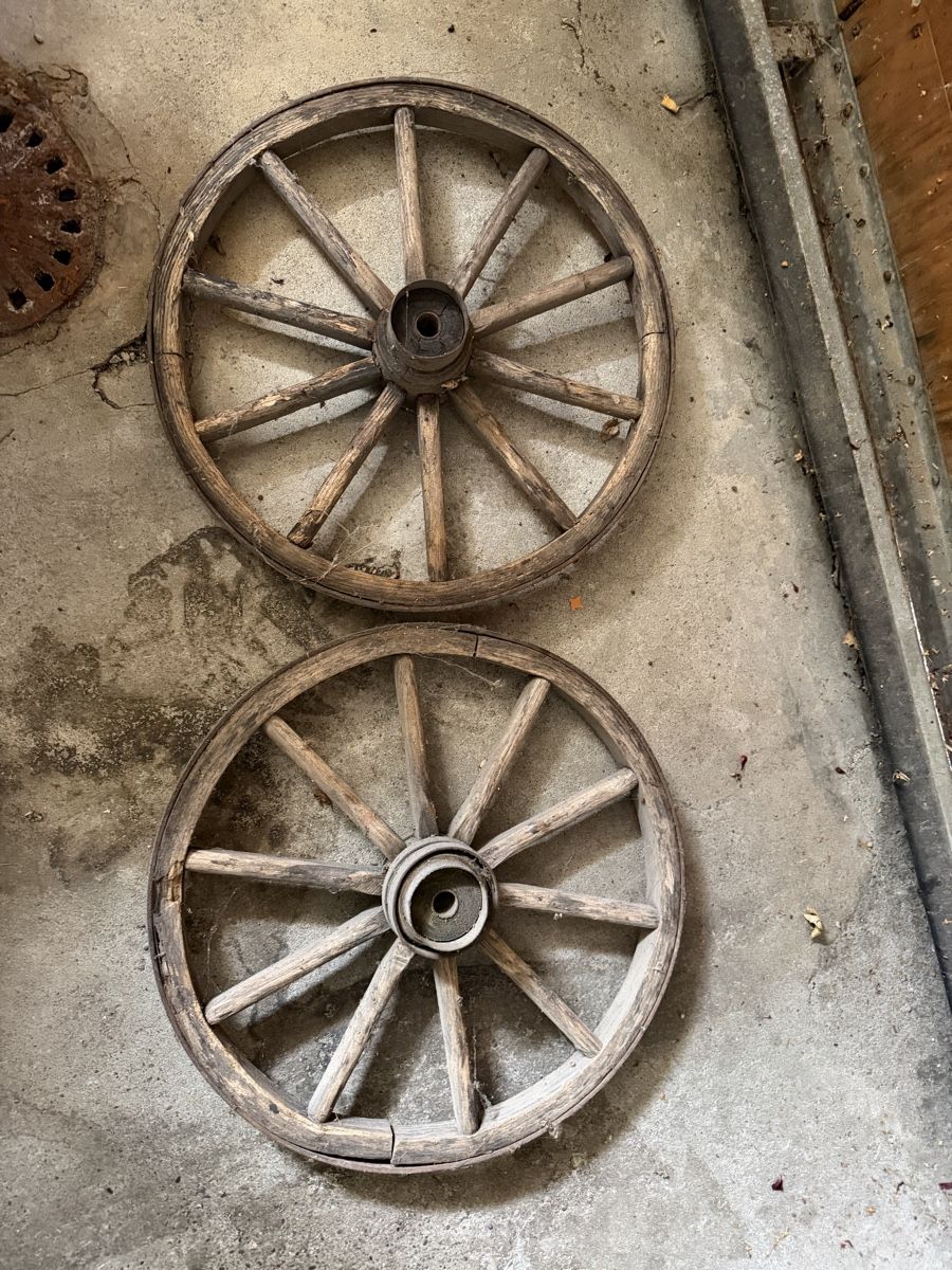 Pneus & Roues: Holzrad Rad – Défectueux à Marthalen par ml740