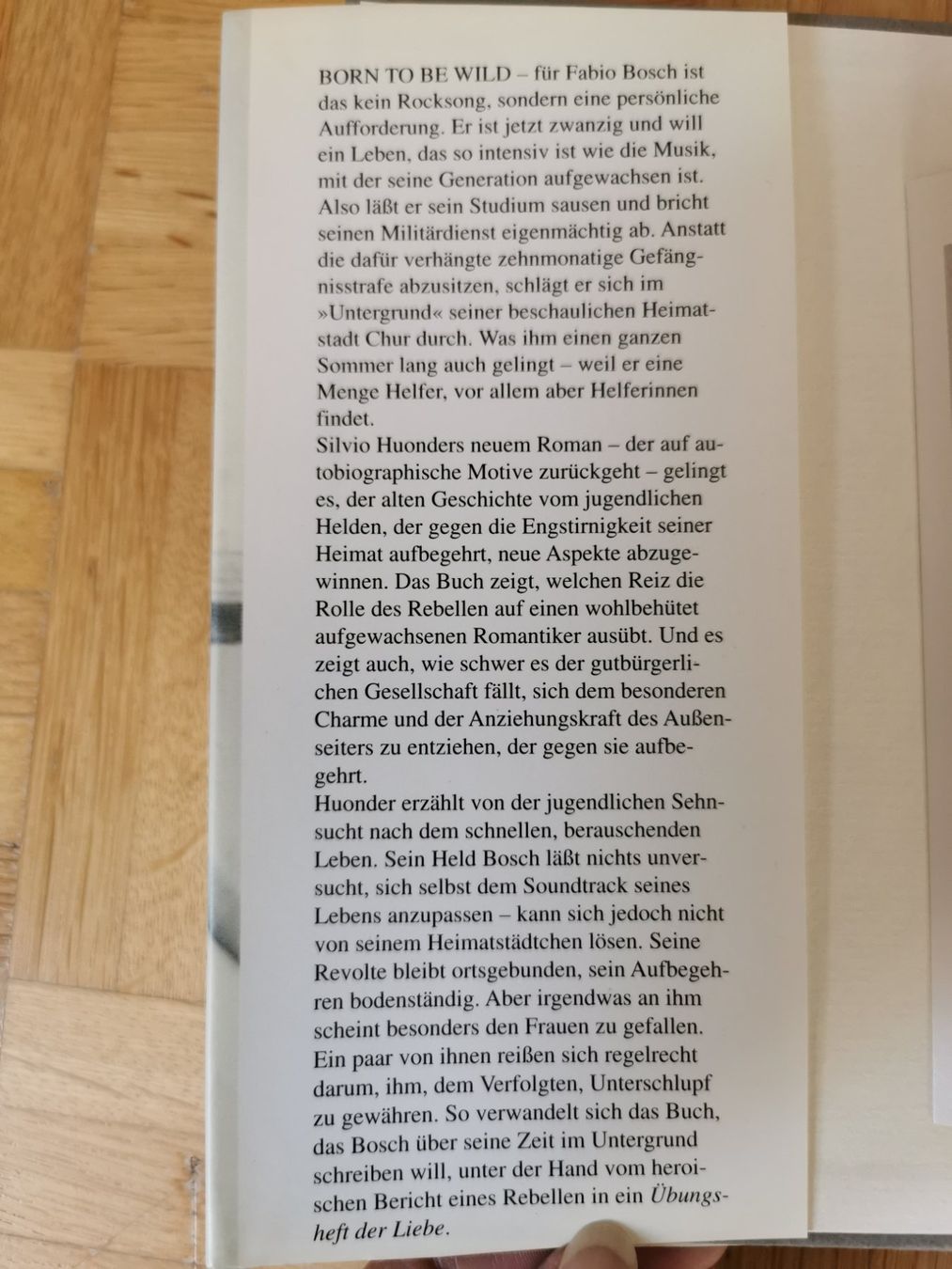 Libri: Übungsheft der Liebe - Silvio Huonder – Usato da Stäfa venduto da flamingo_17 3
