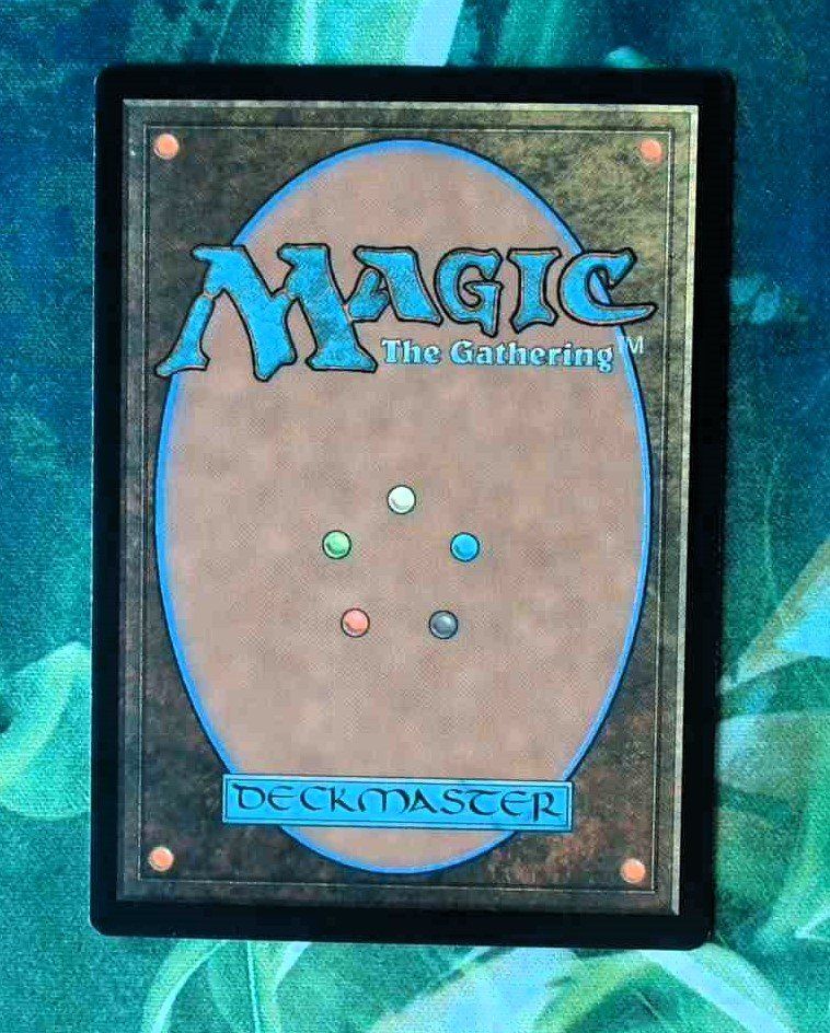 Magic The Gathering Carte collezionabili: Seedborn Muse - MTG – Usato da Zürich venduto da Semagets 1
