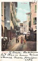 Lugano via nassa animata