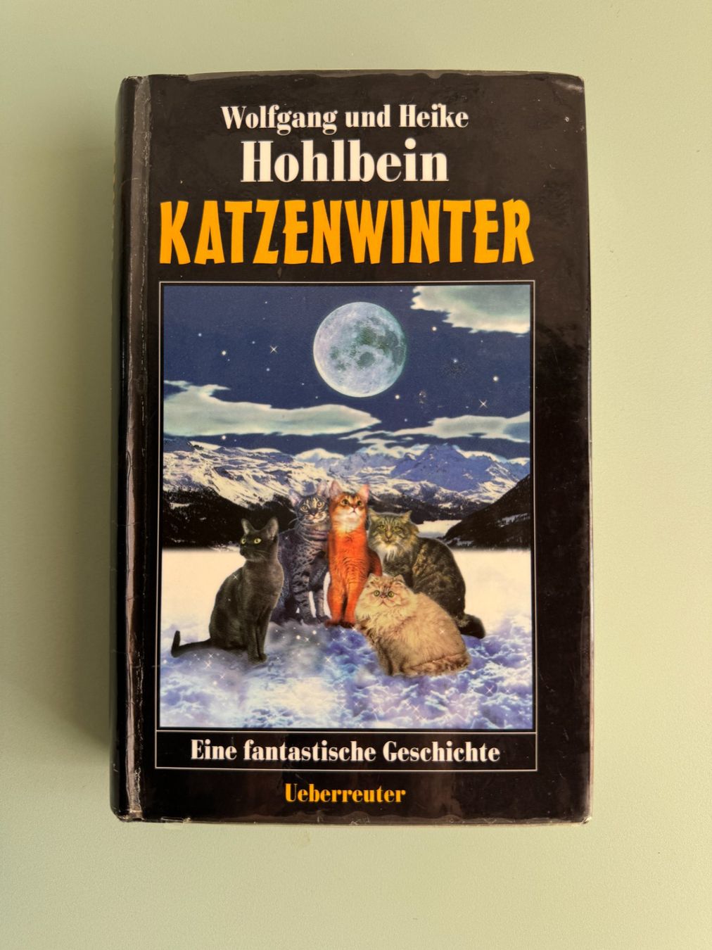 Bücher: Katzenwinter – Gebraucht aus Kägiswil von Jindujune