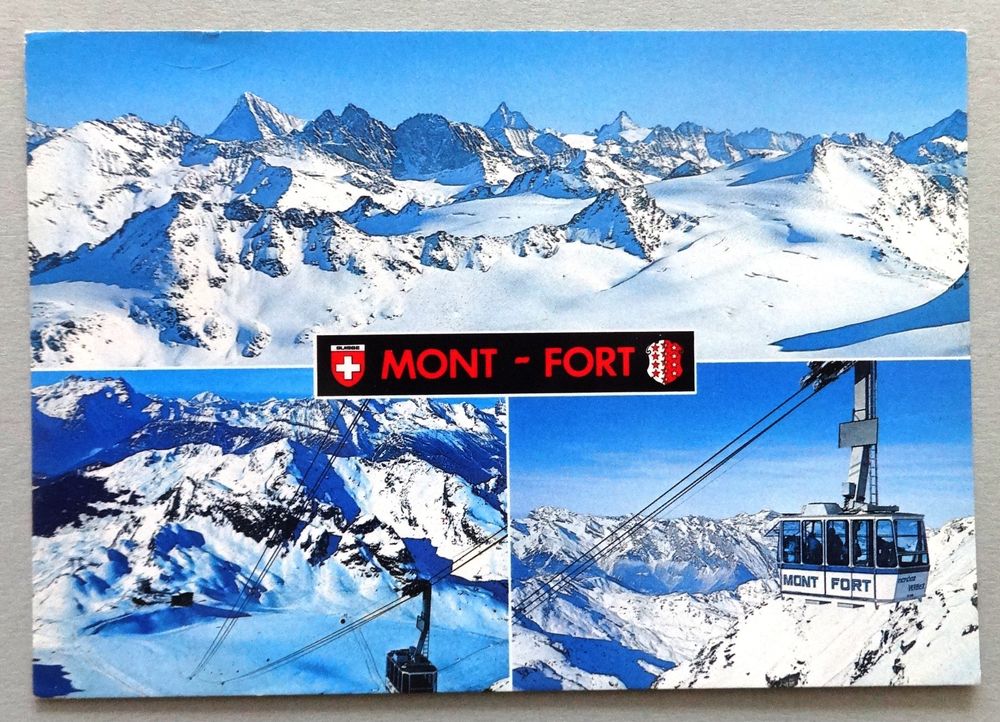 MontFort 3330 m Kaufen auf Ricardo