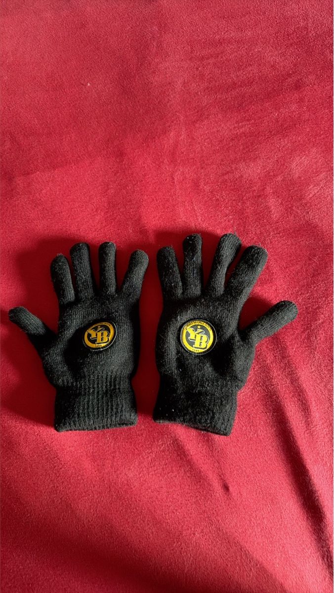 Gants: Handschuhe, BSC Young Boys – Neuf (Voir description) à Möriken AG par ke_jh6d
