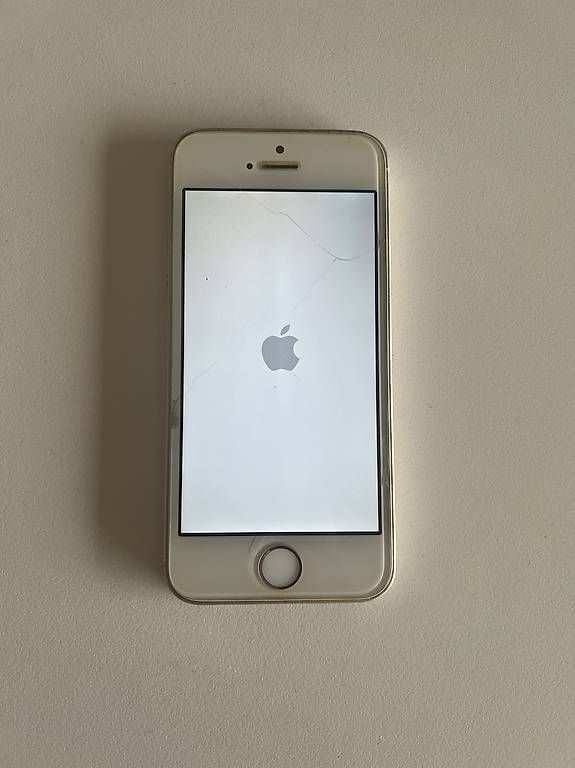 Apple Telefoni cellulari / Smartphones: Iphone SE 32 GB – Usato da Solothurn venduto da ers_t6vr