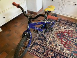 Scott 16 Zoll Kindervelo – dunkelblau mit Schmetterlingen 