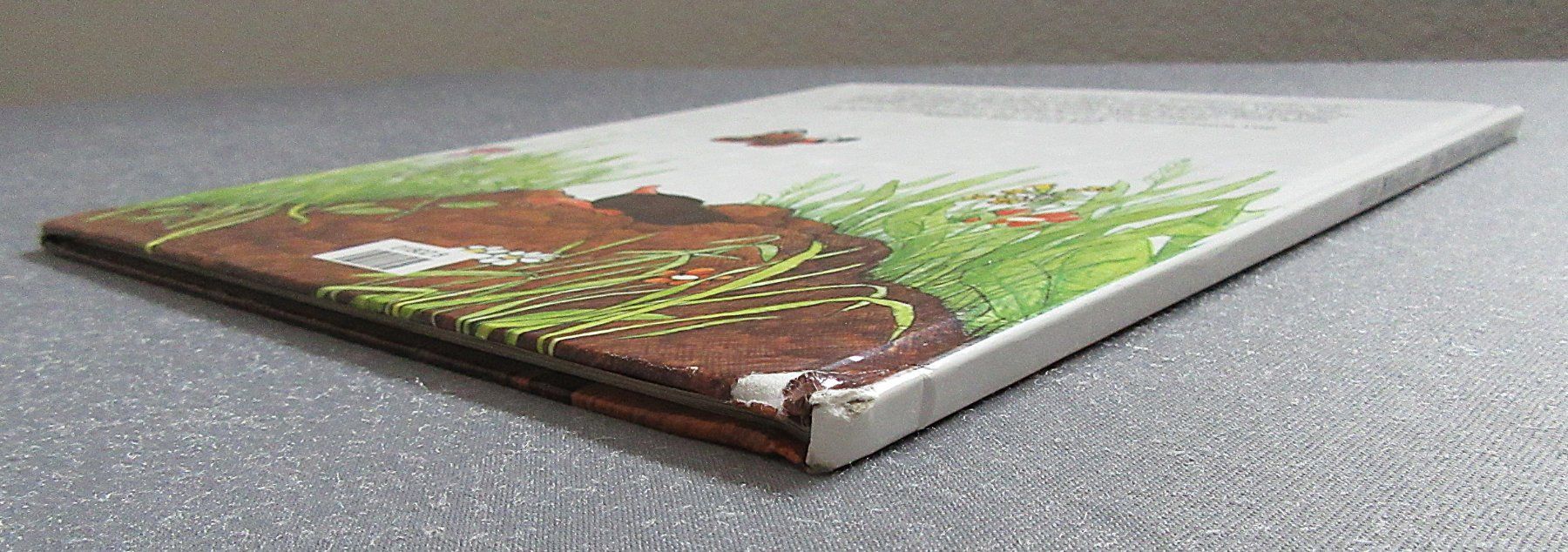 Bücher: Der Maulwurf Grabowski - ein Kinderbuchklassiker – Gebraucht aus Auenstein von Padabimbim 9
