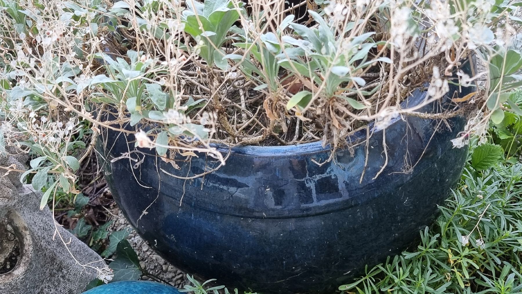 Vasi per fiori: Blumentopf Keramik dunkelblau – Usato da Twann venduto da MW51 2