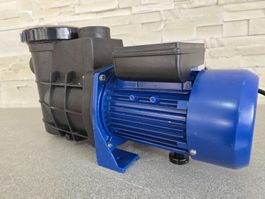 550 W Schwimmbadpumpe Poolpumpe 12 m/h Swimmingpool Pumpe