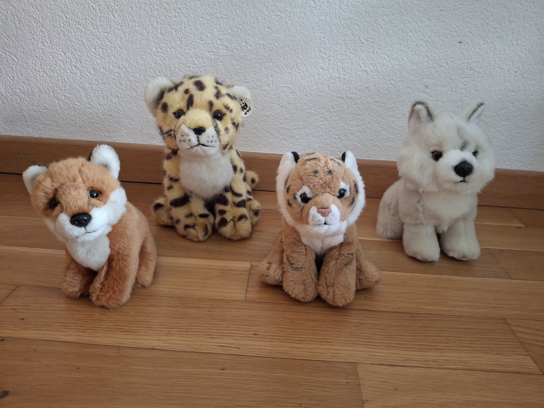 Giocattoli: Plüschtiere 4er Set: Fuchs Tiger Gepard Wolf – Usato da Glis venduto da dav_zr22