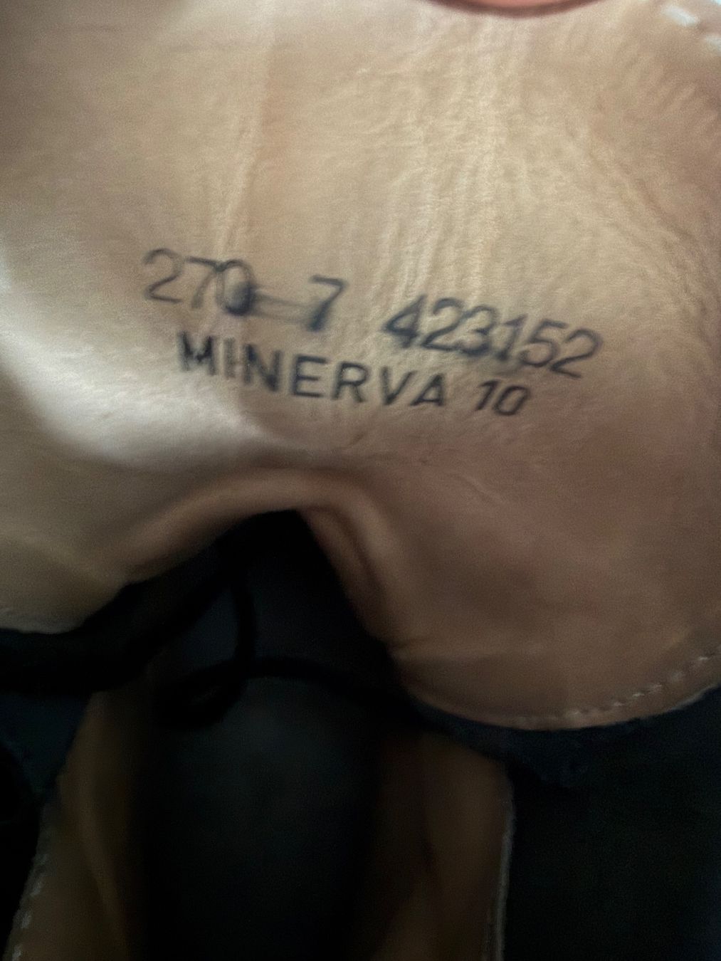 Schweizer Armee Scarpe da uomo: Schweizer Armee Kampfstiefel - wenig gebraucht - ca. Gr. 42 – Usato da Mitlödi venduto da ax20 3
