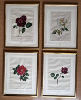 4 Rosenbilder von Lotti Günthart-Maag aus Regensberg