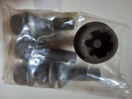 VW/SEAT/AUDI Diebstahlschrauben