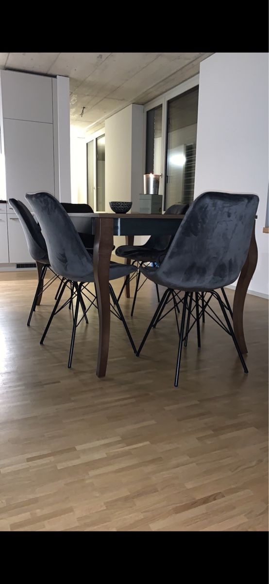 Set de table et chaises: Esstisch mit Stühlen – D'occasion à Zürich par _federiica