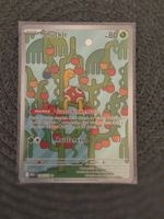 **POKÉMON SHUCKLE 136/132 – ILLUSTRATION RARE – ITA