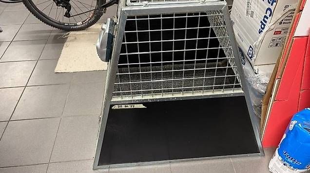 Cages, transport & sécurité: Stöckli Hundebox – D'occasion à Niederweningen par borner01 1
