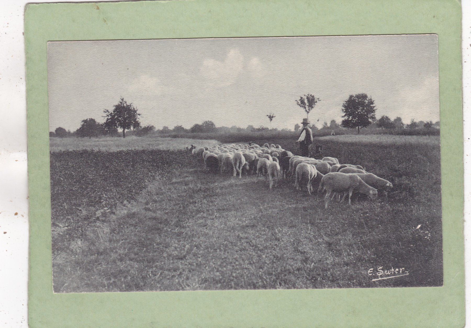 Cartoline postali: Landschaft Schafe Schäfer – Usato da Herisau venduto da Lisegrat2008