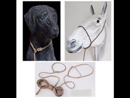 Shooting-Halfter/ Fotografenhalfter Pferd+Hund v. Jolis-Shop