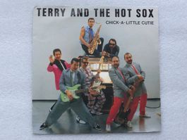 Vinyl Single  TERRY and THE HOT SOX