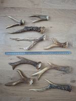 Ab 1.- Set 3, grosse und abnorme Reh Geweihe