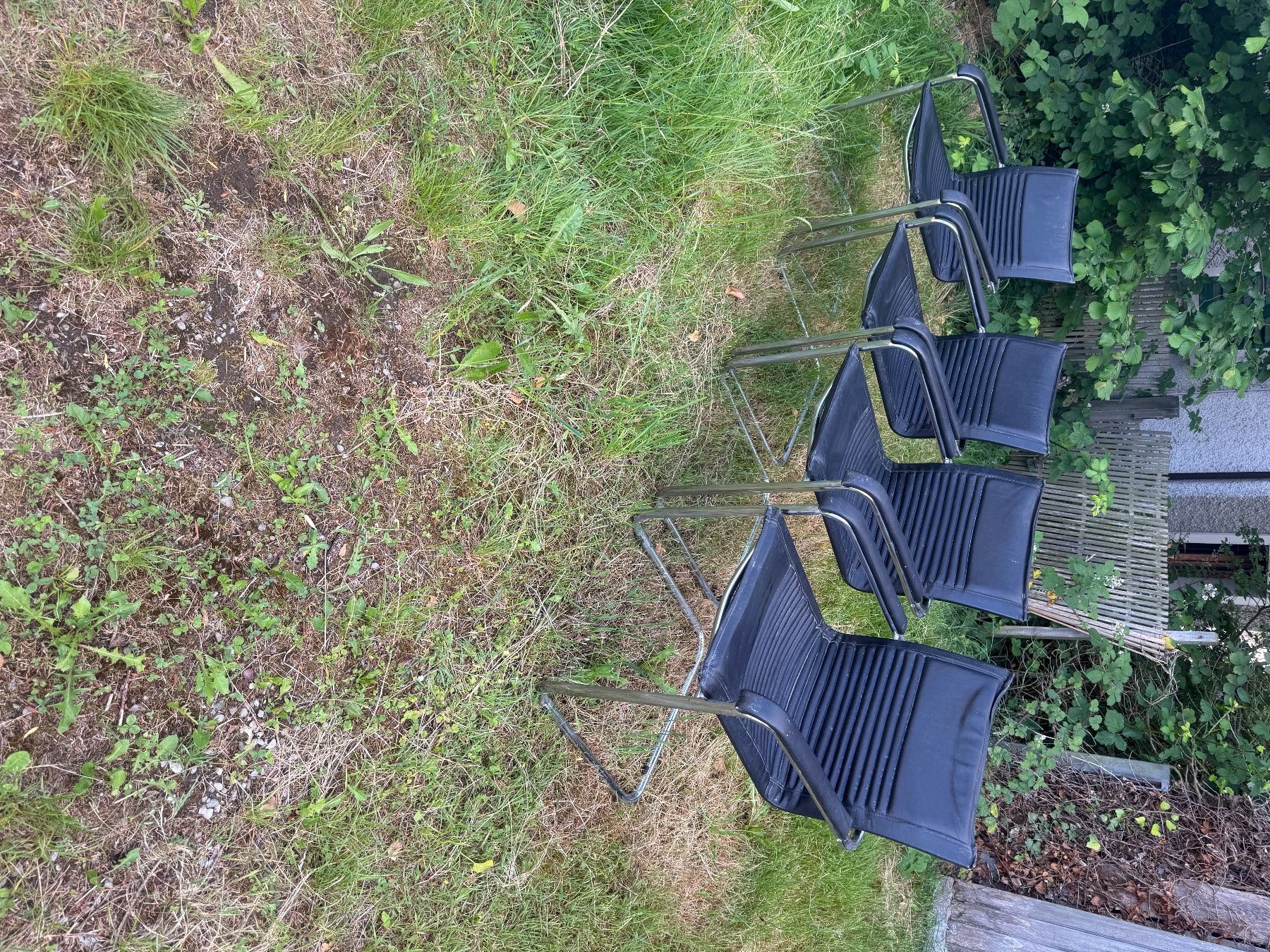 Stühle: Freischwinger stühle – Gebraucht aus Brugg AG von Vale_1 1