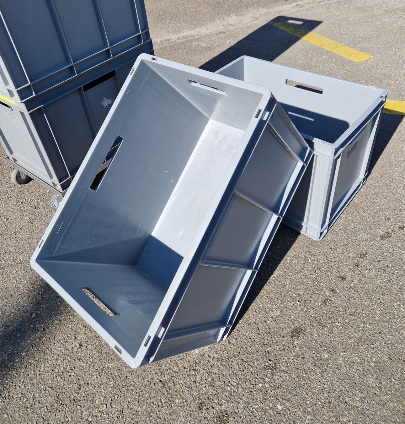 Casse di trasporto: 5 Rako-Kisten, 60x40x40cm, stark, mit Roller/Räder – Usato da Zürich venduto da EhrlichJA