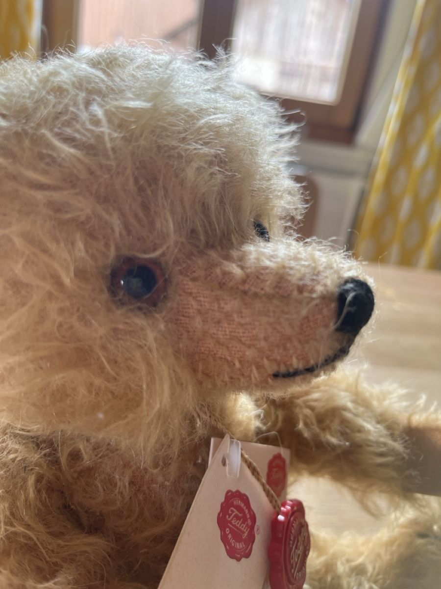 Teddy Hermann Jouets: Teddy Hermann Original Erik – Neuf (Voir description) à hüntwangen par Fiorenzaanna 6