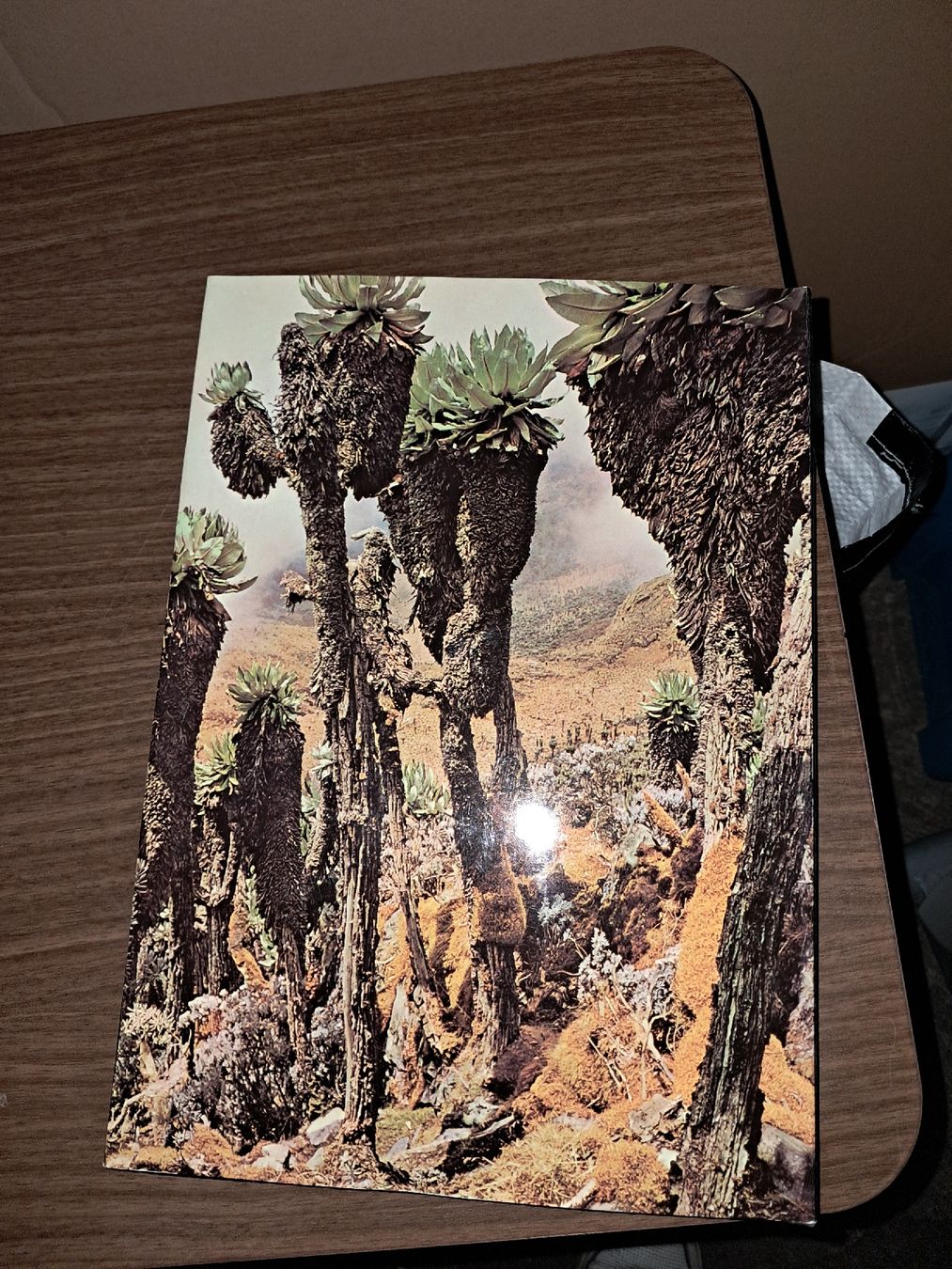 Libri: Livre AFRIQUE - désert steppe forêt vierge – Usato da Le locle venduto da juliensaran 3