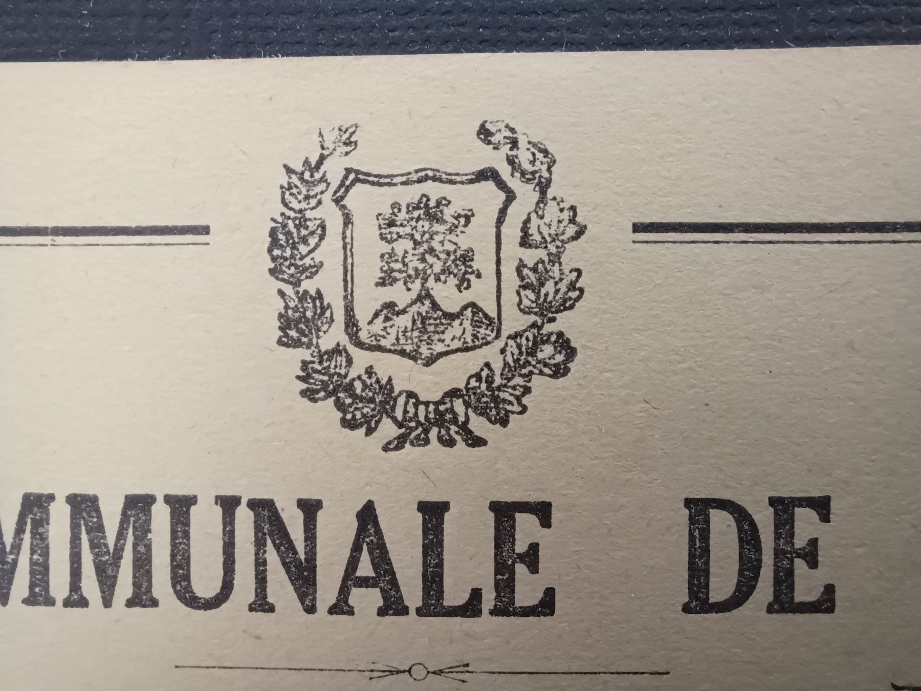 Tutti i francobolli: CAISSE COMUNALE DE MONTHEY, 1943 – Usato da Aarau Rohr venduto da mgvw 2