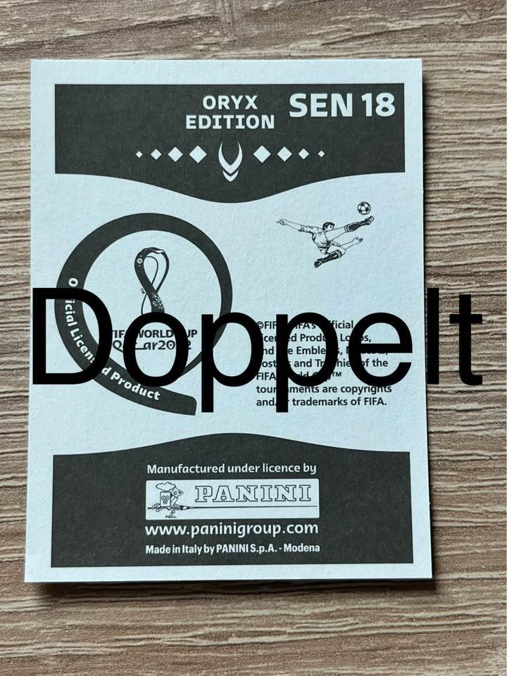Panini Carte collezionabili: Bamba Dieng Panini WM Cup Qatar 2022 – Nuovo (secondo la descrizione) da Fislisbach venduto da Hast1976 1