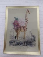 Love Plates Geschenk-Teller mit Giraffen-Motiv, Goldrand